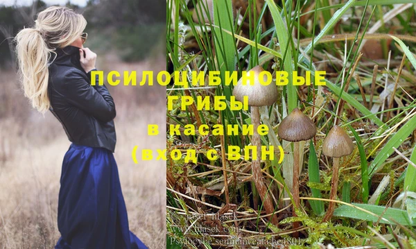 герыч Заводоуковск